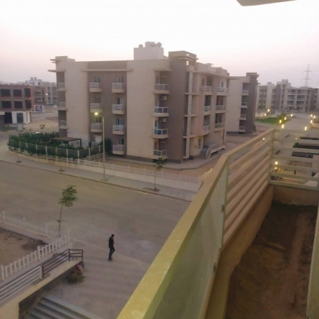 shk-llbyaa-168m-kmbond-alkhmayl-alshykh-zayd-dor-mtkrr-astlam-6-shhor-big-3