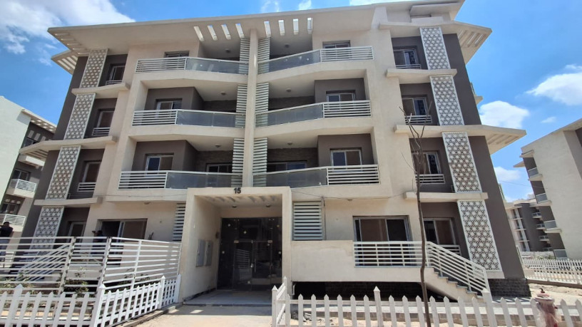 shk-llbyaa-168m-kmbond-alkhmayl-alshykh-zayd-dor-mtkrr-astlam-6-shhor-big-1