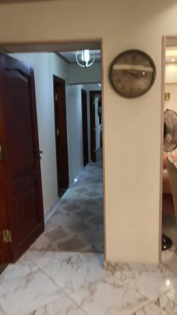 shk-llbyaa-fy-alaabor-nzh-alaabor-aamarat-shrk-msr-algdyd-big-1