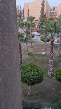 shk-lkt-fy-alshykh-zayd-big-4